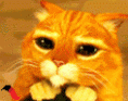 /album/imagens-gifs/gato-de-bota-gif/